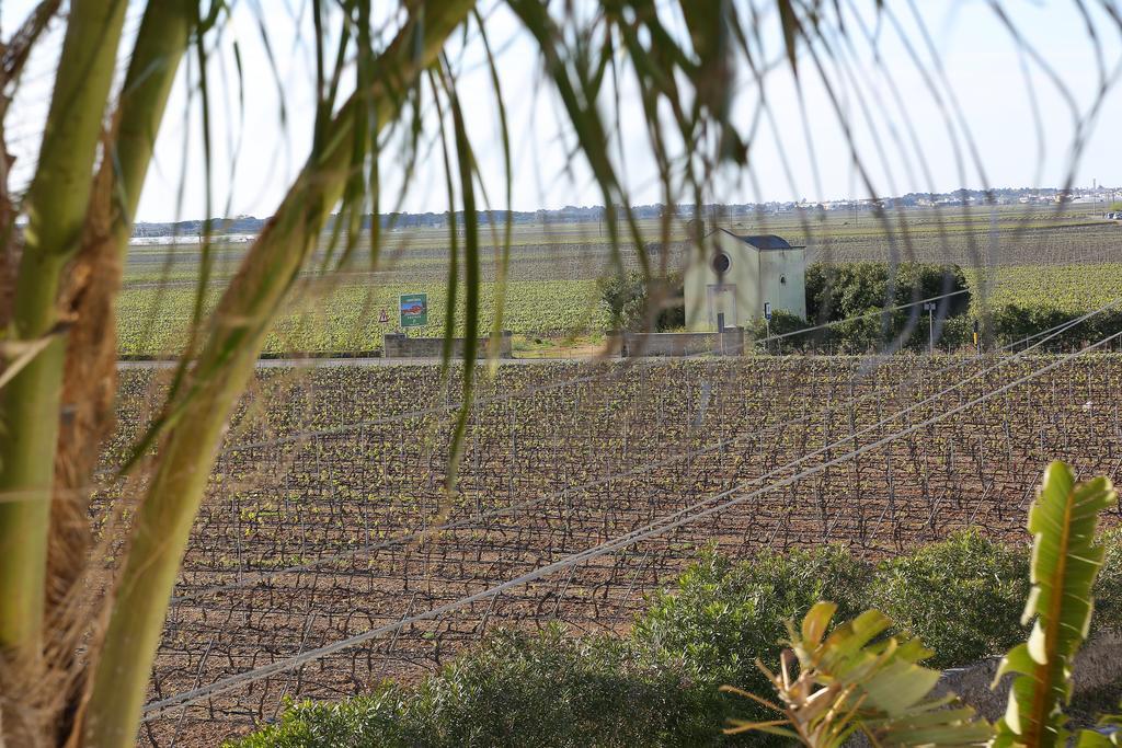 Eco Green La Vigna Leverano Kamer foto