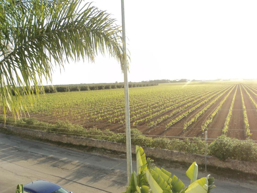Eco Green La Vigna Leverano Kamer foto